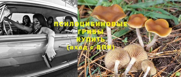 PSILOCYBIN Алексеевка