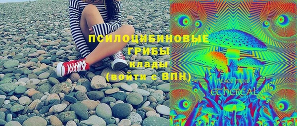 PSILOCYBIN Алексеевка