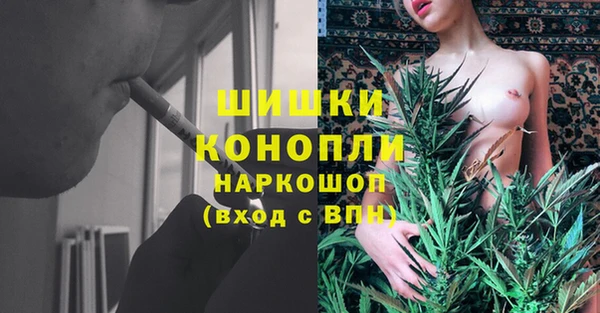PSILOCYBIN Алексеевка