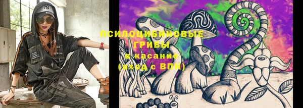 МДПВ Алексин
