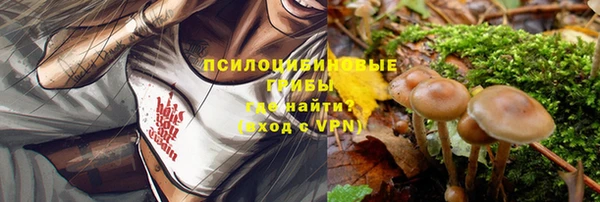 прущая мука Новодвинск