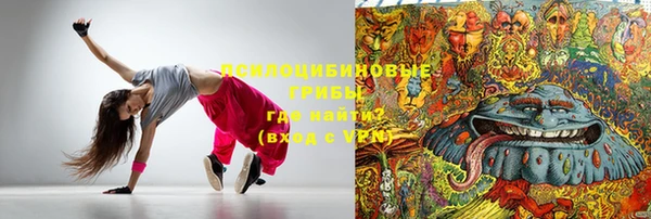 МДПВ Алексин