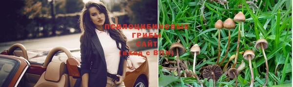 PSILOCYBIN Алексеевка