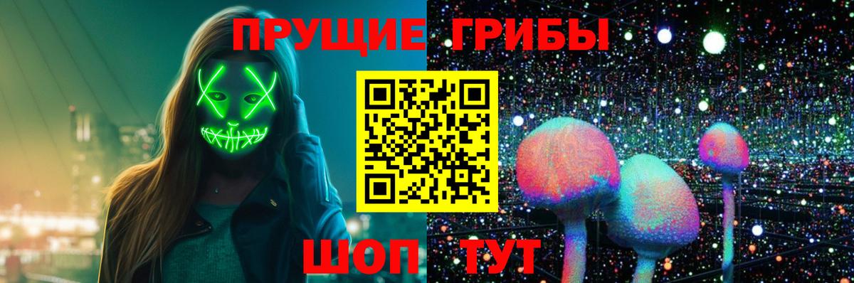 Сатка  Галлюциногенные грибы Psilocybe  Псилоцибиновые грибы мицелий  магазин    Вход с VPN 